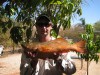 57cm trout - 28th-12-09